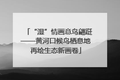 “湿”情画意鸟翩跹——黄河口候鸟栖息地再绘生态新画卷